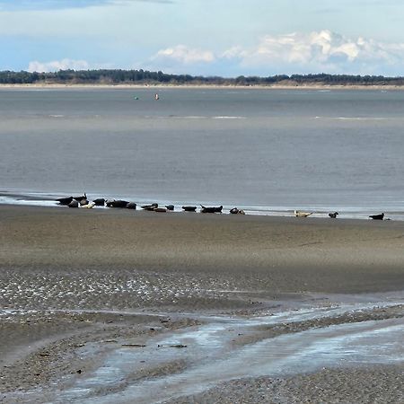 L'Instant Bed & Breakfast Cayeux-sur-Mer Luaran gambar