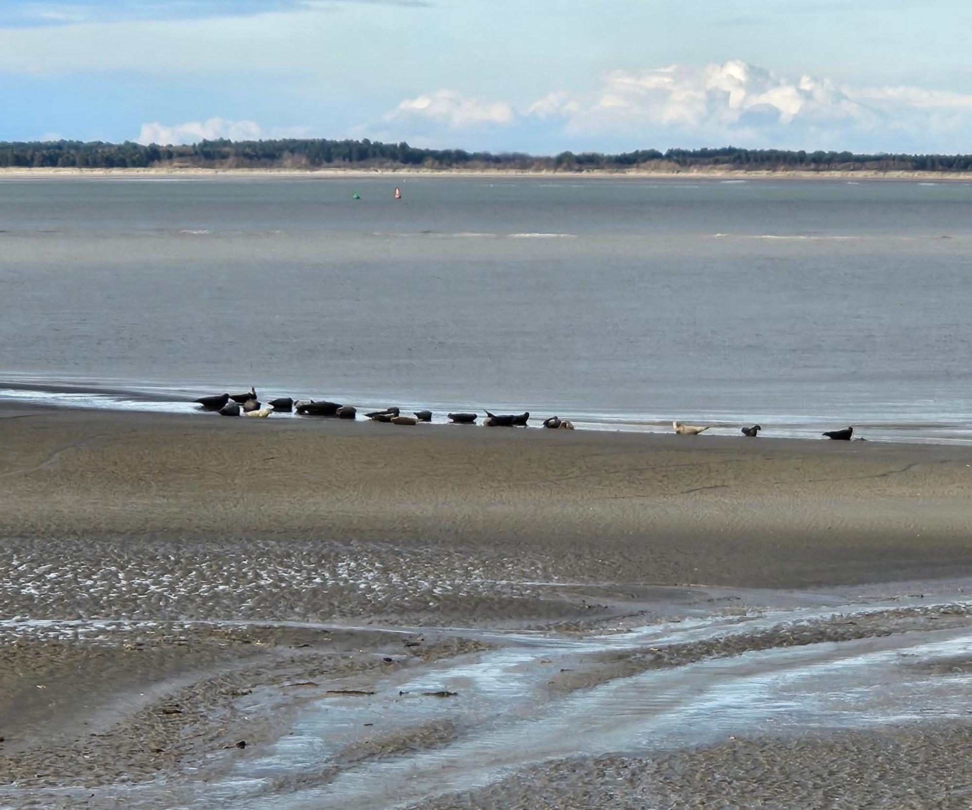 L'Instant Bed & Breakfast Cayeux-sur-Mer Luaran gambar